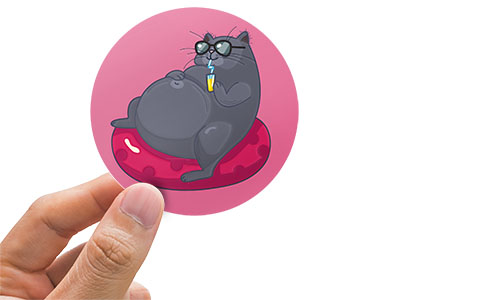 Pink circle decal with a fat gray cat sitting on a bean bag.